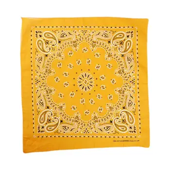 

15 Color Ethnic Hip Hop Bandana Handkerchief Retro Location Paisley Floral Print Unisex Sport Cycling Square Scarf Headwear Mask