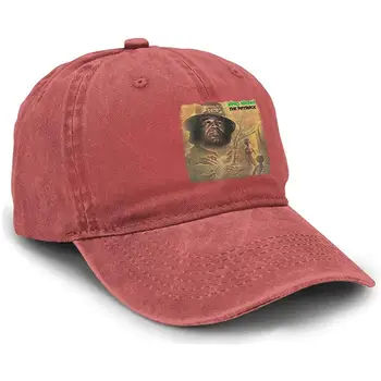 

Yuliang James Brown The Payback Classic Unisex Adult Adjustable Snapback Cowboy Hat Black