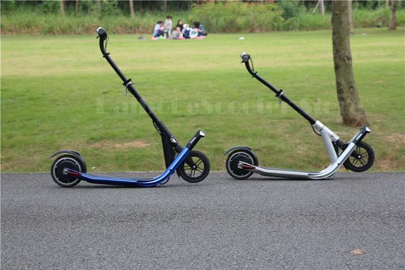 Daibot Electric Scooter 250W Two Wheel Self Balancing Scooters 8 inch 36V Foldable Electric Skateboard Scooter For Adults (11)