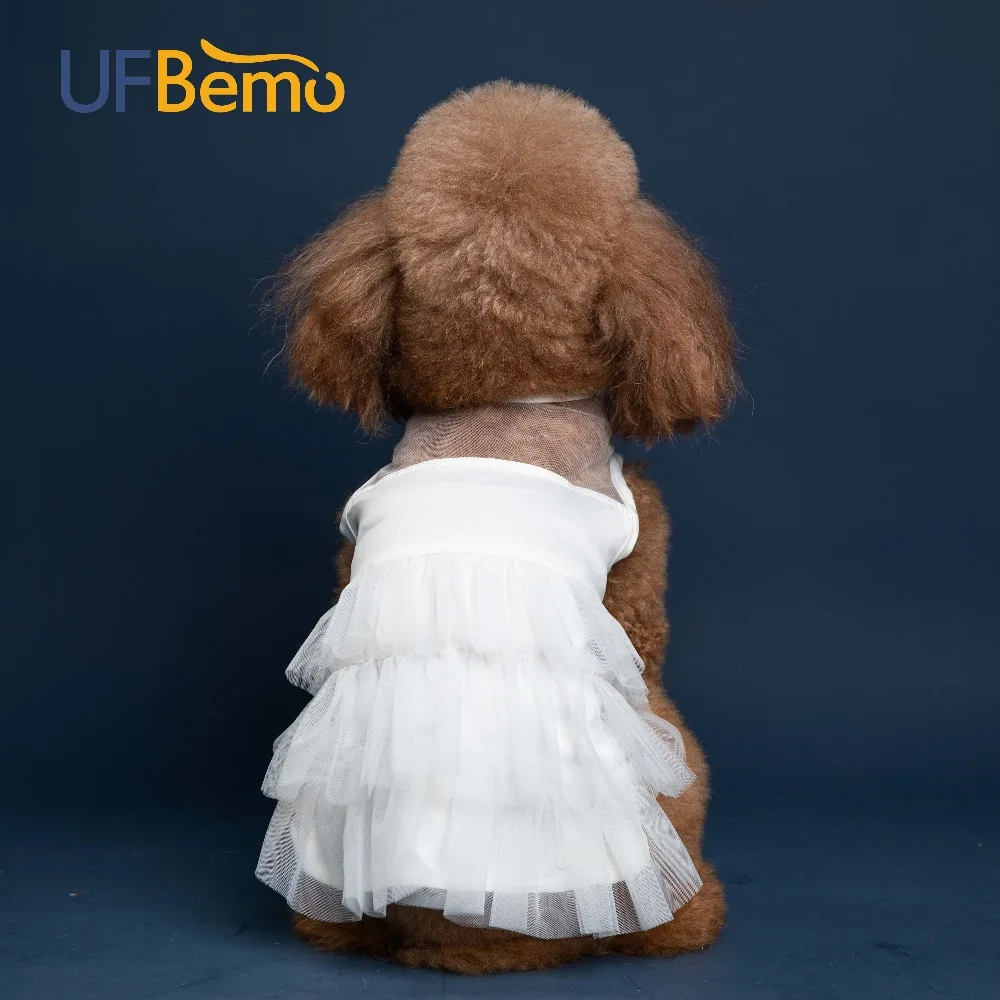 dog dress white 3