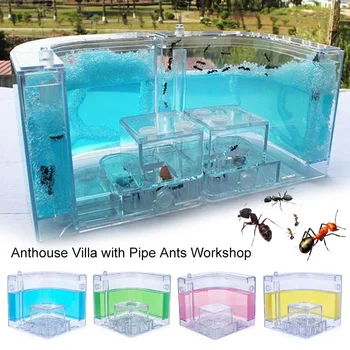 

Funny Ants House Feeding Area Villa Pet Toy Colorful Ant Nest Habitat Decoration 10.8CM Insect Transparent Kids Gift Specially