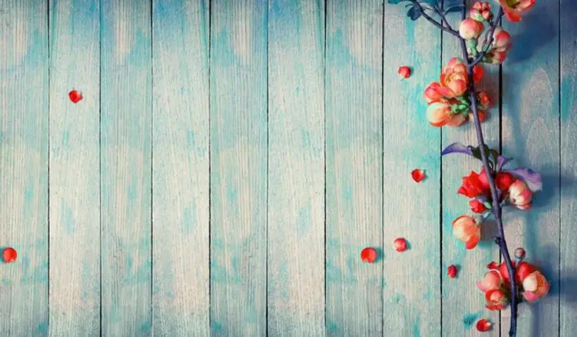 QQ截图20200907130324