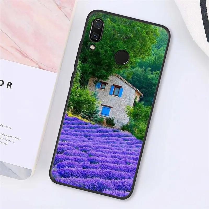 Simple lavender Purple flowers   