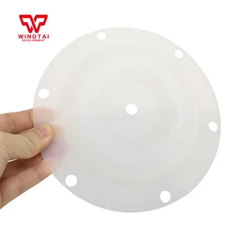 

PTFE Diaphragm For BML-5 Single-way Diaphragm Pump