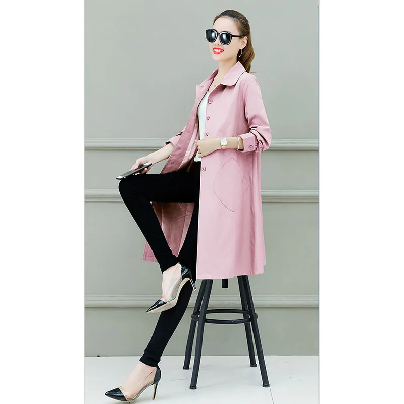 O1CN01Whp2ZQ1JJhjej6R2a_!!3596881008