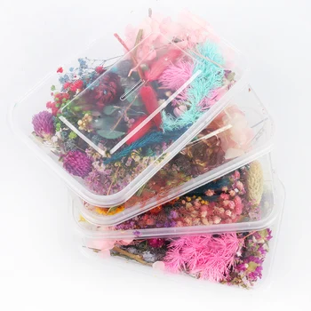 

1 Box DIY Accessories Real Dried Flower Dry Plants For Aromatherapy Candle Epoxy Resin Pendant Necklace Jewelry Making Craft