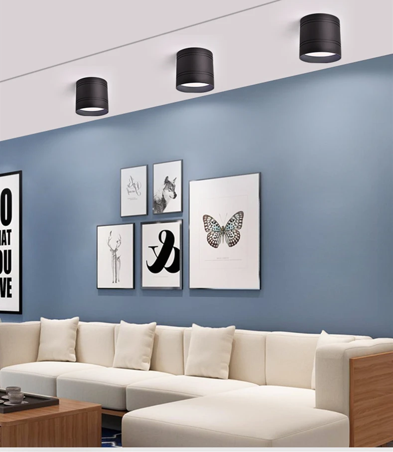 O1CN011b9JnhO9pVGDuT3_!!2457883422