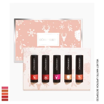 

5 pcs Lipstick Set Long-lasting Waterproof Non-stick Cup Matte Velvet Lipstick Kit Perfect Makeup Gift