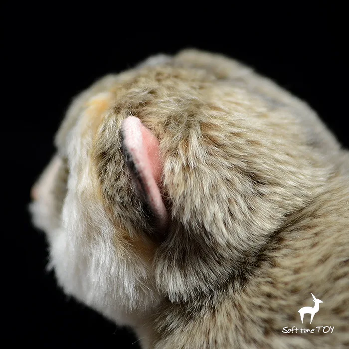 SoftReal Life Nycticebus pygmaeus обезьяна кукла плюшевые животные игрушки без хвоста обезьяна украшение Обучающие игрушки магазины Редкие