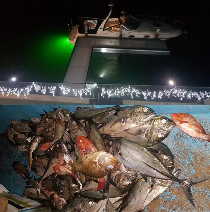 HTB1GTq6eBOD3KVjSZFFq6An9pXa2