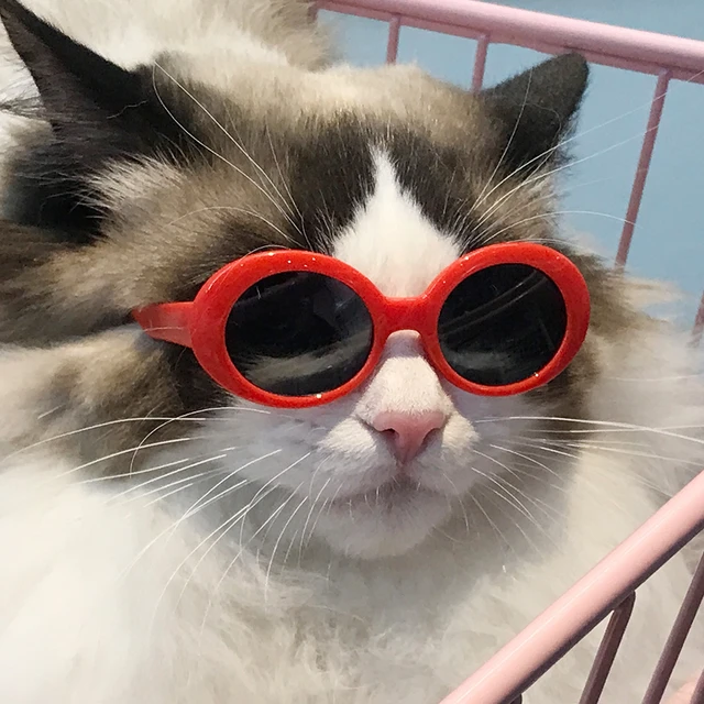 Retro Dog Glasses | Retro Sunglasses | Cats Accessories | Dog Sunglasses |  Round Glasses - Cat - Aliexpress