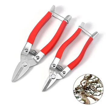 

Stainless Steel Fruit Picking Scissors Plant Dressing Cut Straight Head Flower and Fruit Thinning Alice Head Fruit Picking Sciss