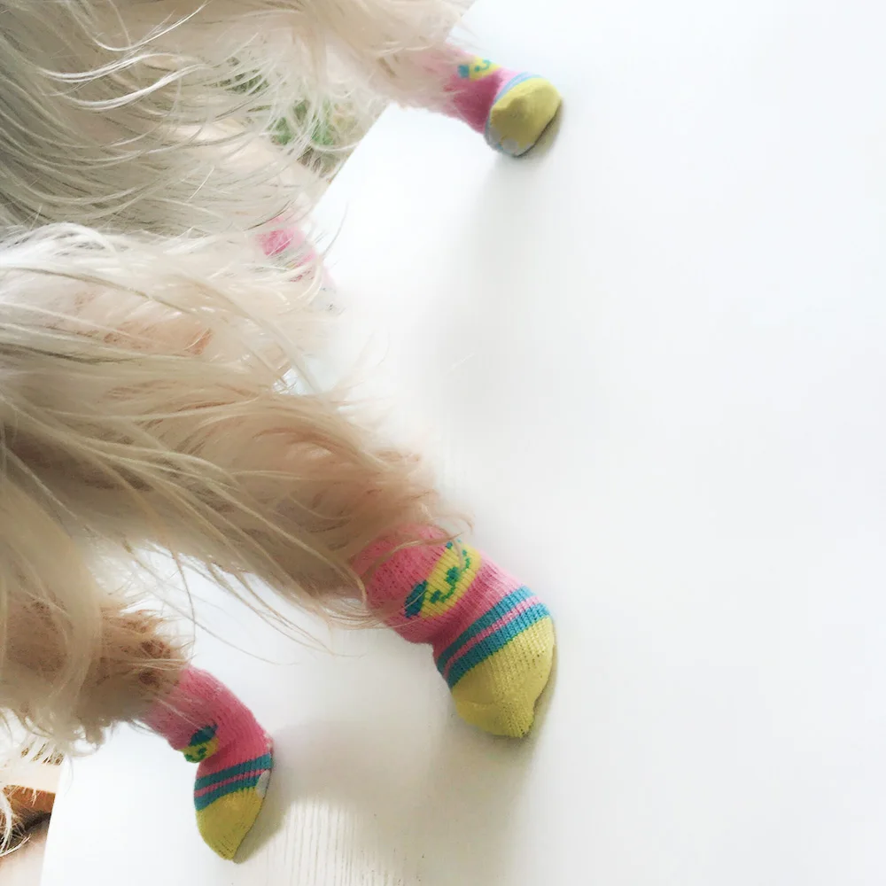 Распродажа! Носки для собак A6011022 модный дизайн теплые носки для собак Продукты 5 наборов