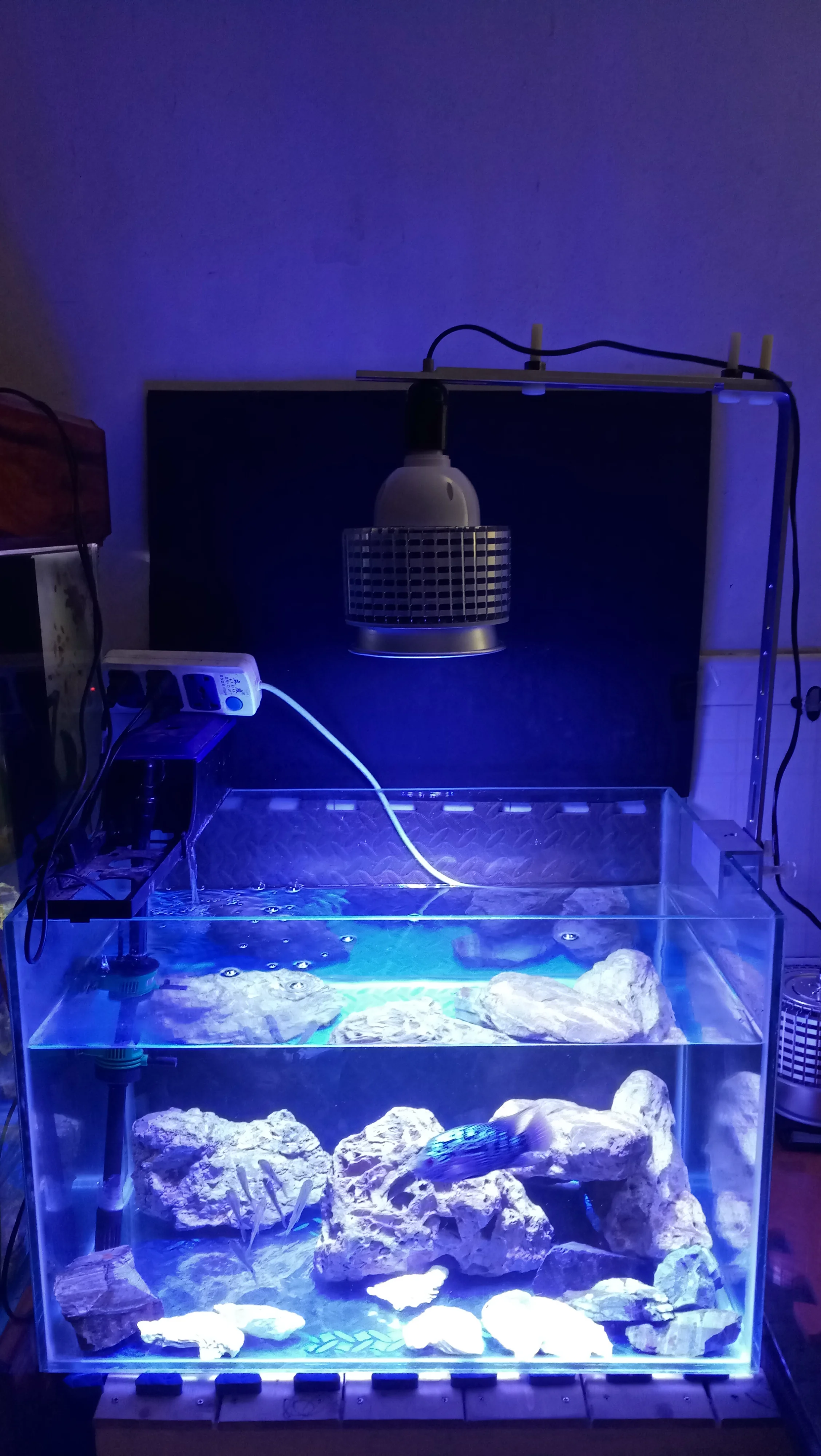 Высокая мощность 40 Вт Светодиодный светильник для аквариума Reef лампа 10 синий 6 белый 2uv для рыб коралловый риф морской SPS LPS
