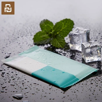 

10Pcs/Pack Youpin Disposable Removal Wet Wipes Clean Tissue Towel Travel Portable Refreshing Mint Soft Wet Wipes Baby Available