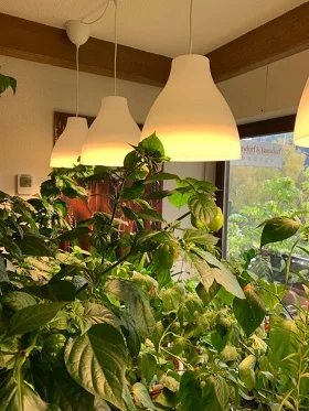 U5793534cf80a41e3971c77d3b3f719e89