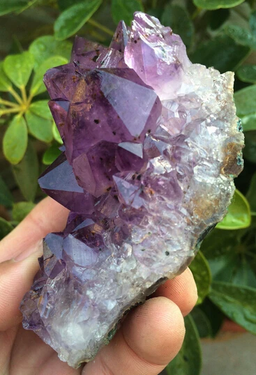 410+++ натуральный аметист красивый фиолетовый Кварц Geode Кристалл кластер Specime
