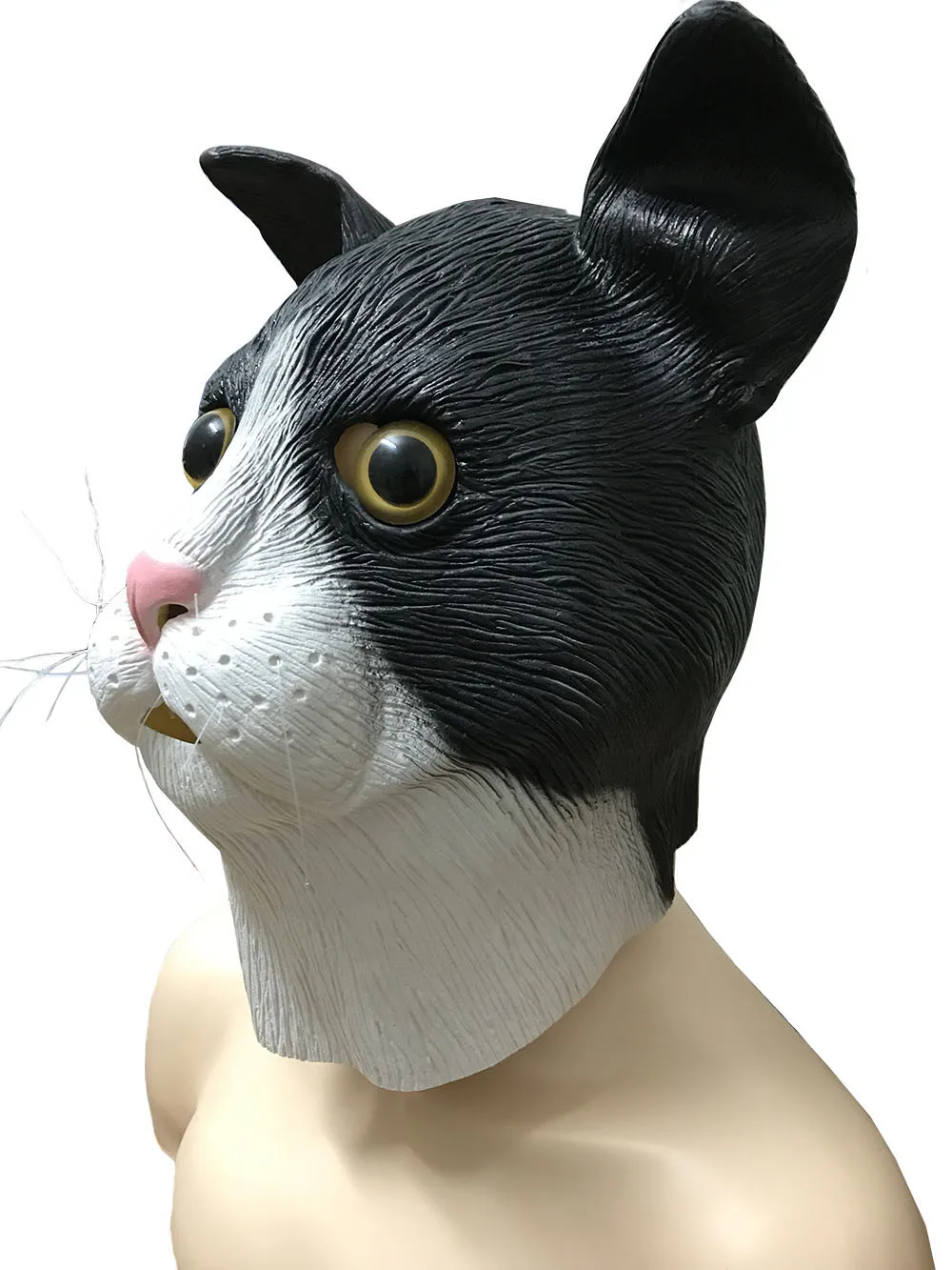 cat 4