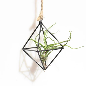 

1*Flower Plants Rack Wrought Iron Air Plant Holder Freestanding Hanging Tillandsia Flower Plant Rack