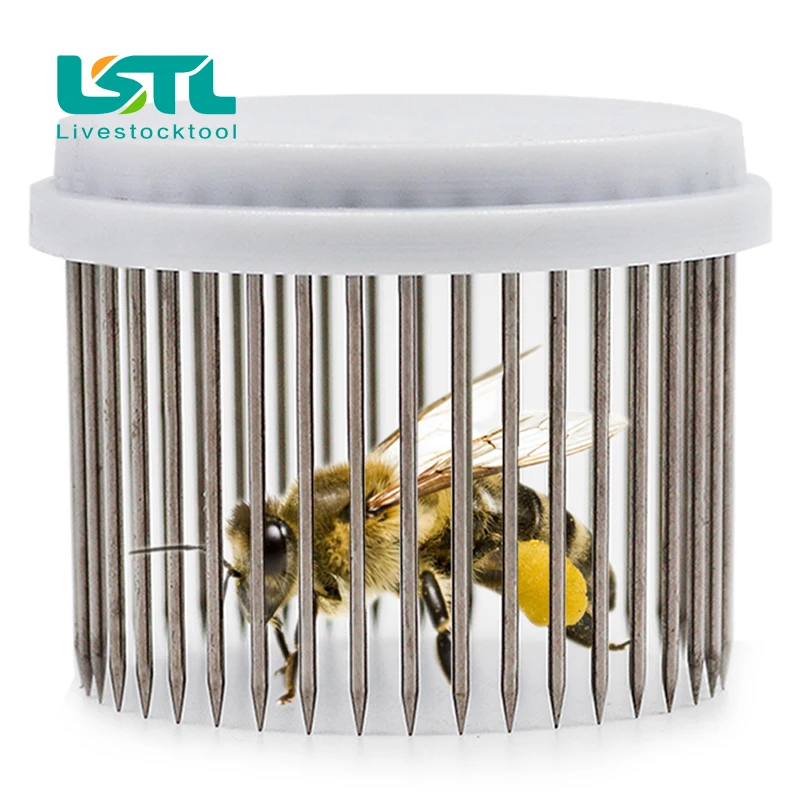 1PC Pop Beekeeping Equipment Stainless steel Cage For Queen Bees Hot Sale