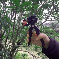 Poda corte de enxertia tesouras tesouras pomar pomar e jardim ferramentas multi função casa jardim podador por