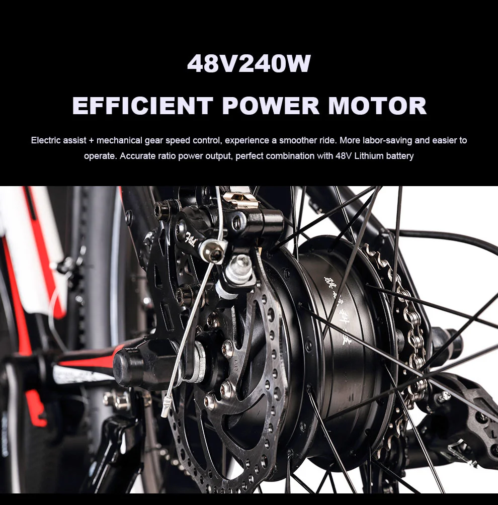 Lightweight Electric Bike 26 Inch Two Wheel Electric Bicycle With Hidden Battery 25KMH Electric Mountain Bike Bicycle (3)