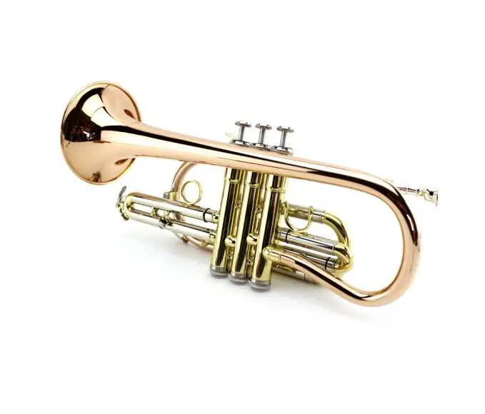 new-professional-clarinet-buffet-crampon