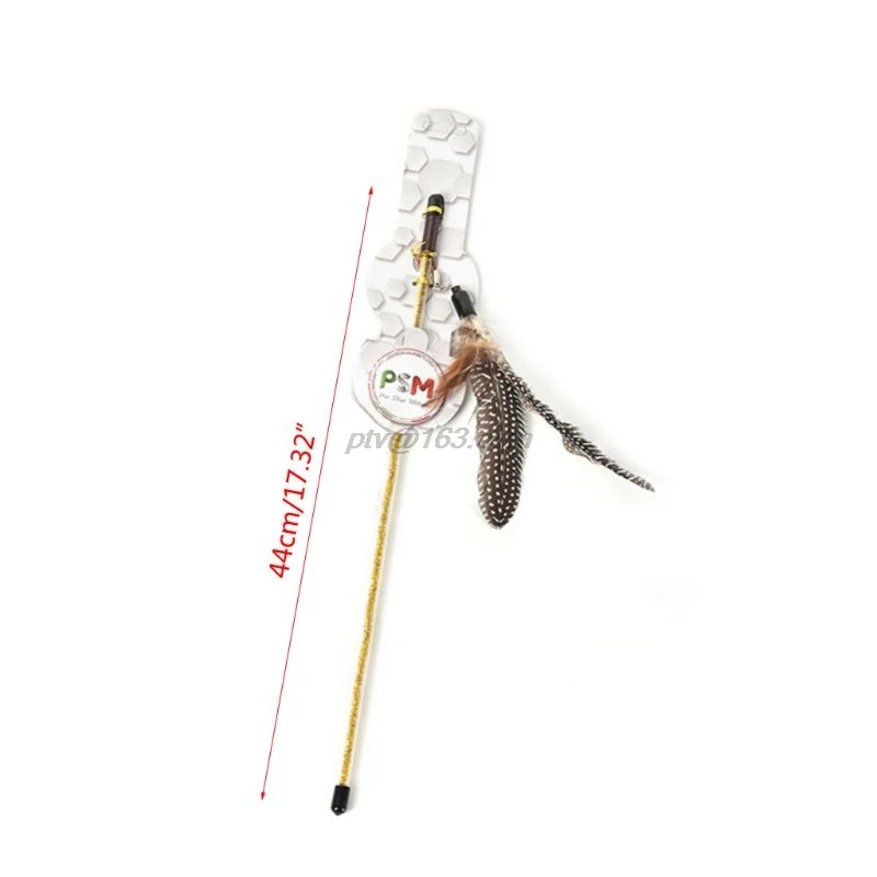 2SS202157-cmb