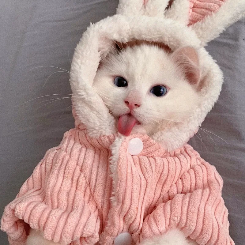 Winter Cat Clothes Warm Fleece Rabbit Ears Hooded Jacket Pet Clothing For Small Dogs Cats Puppy Teddy Chihuahua Coat Funny | Дом и сад