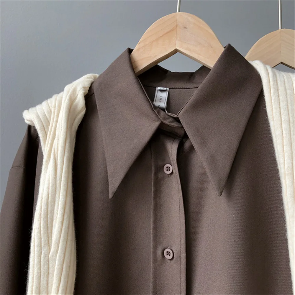 2020 Spring Women Brown Shirt Female Blouse Tops Long Sleeve Casual Turn-down Collar Style Women Loose Office Blouses Z1695 (59)