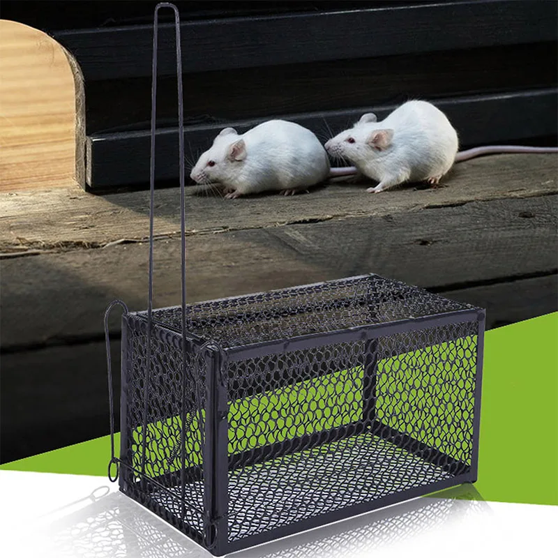 

2019 Professional Efficient And Safe Non-Toxic Mouse Cage Thickened Rodent Trap Rat Box Mousetrap Animal Cage Practical Home