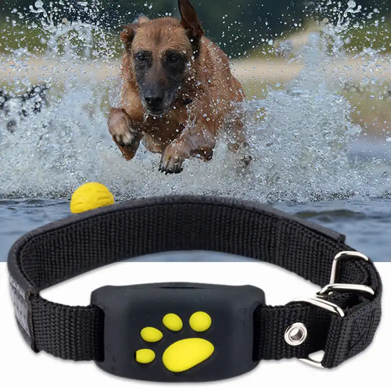 Dog Cat Collar Trackers Finder Callback Equipment Pets Smart Gps Tracker Anti Lost Locator Waterproof Tracer Pet Safety Device Gps Trackers Aliexpress