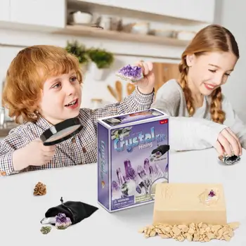 

DIY Archaeological Excavation Faux Crystal Fossil Mining Kit Kids Education Toy