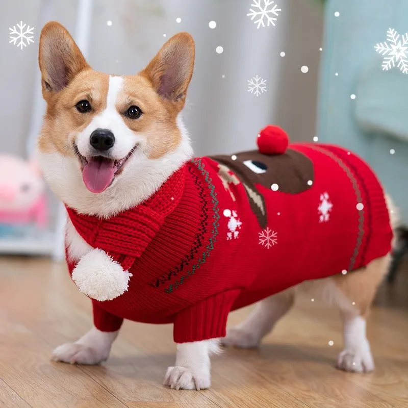 Christmas Sweaters Dogs Petco Christmas Dog Sweaters Christmas Dog