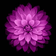 pattern 9 Гнездо прекрасный девушки палец держатель мультфильм Мода телефон расширение ручка крепление подставка гнездо для смартфонов планшеты - Цвет: pattern 9
