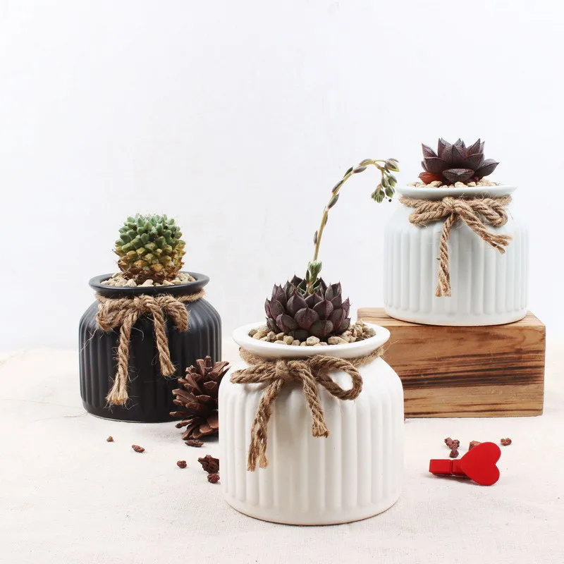 

European Flower Pot Desktop Potted Succulent Plant Pot Home Decoration
