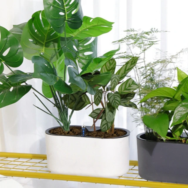 Kreatív Automatikus Önmagában Lévő Műanyag Növényi Edény Vízszint Jelzőpadlótáblával Asztallap Virágcserepő-Ültetvényes Csúszásgátló Wo - Image 3