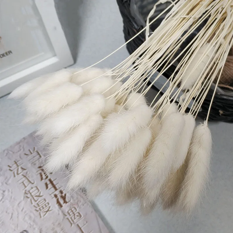 10371389831_574852433