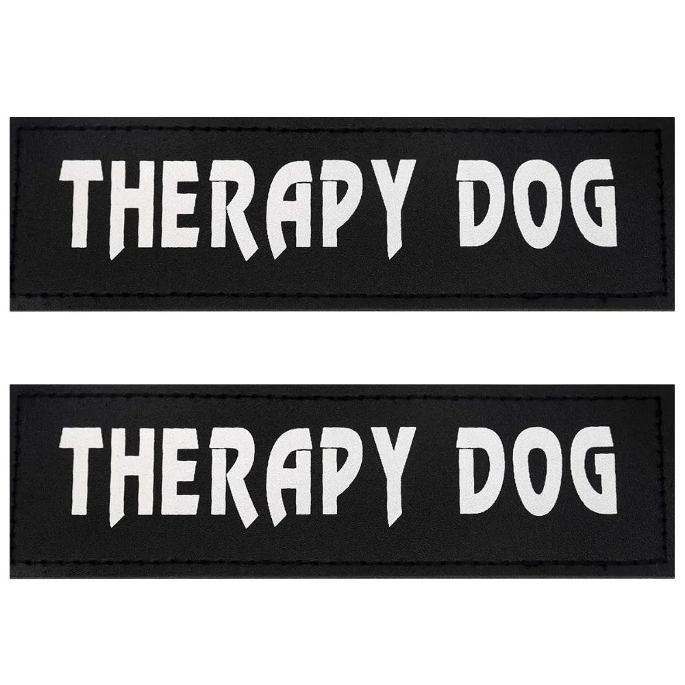 71nuuj0Ge5L._SL1200_