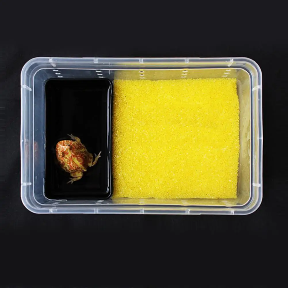 

Rectangle Pet Reptile Spider Frog Home Water Portable Drinking Bowl Feeder