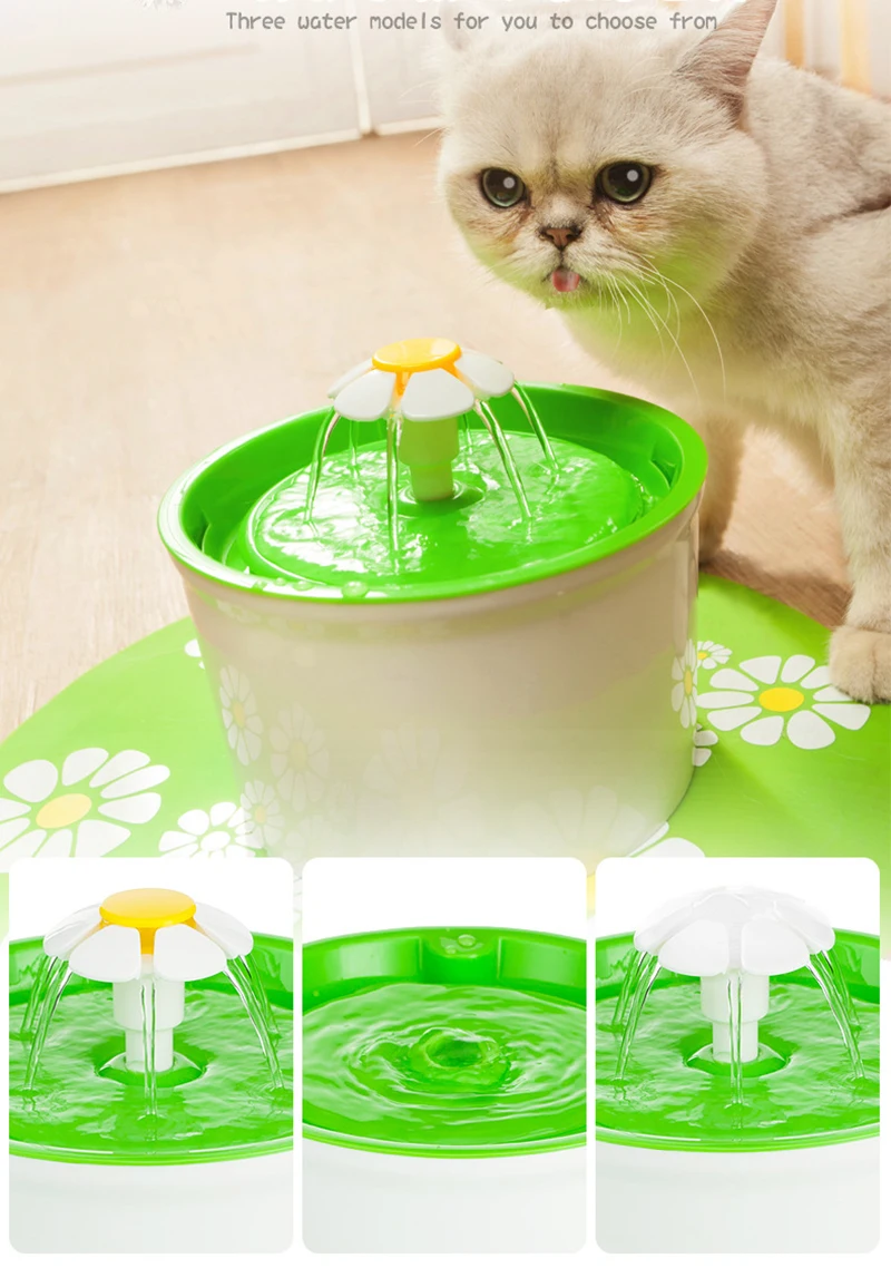 4253212897_1950391245