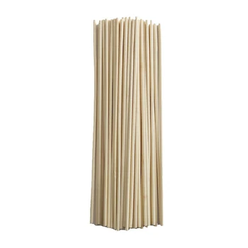 

50pcs Bamboo Stick Plant Growth Support Rod Small Bonsai Branch Vine Plant Sticks Garden Canes Plants Flower Support Bonsai Tool