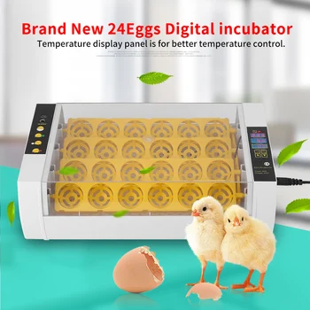 

24 Eggs Incubator Temperature Control Digital Automatic Chicken Chick Duck Hatcher For Hatching Chicken Duck Quail Other Poultry