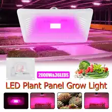 2000 Вт лампы для выращивания полный спектр растительный светильник ing растущий светильник светодиодный светильник для выращивания растений для выращивания цветов