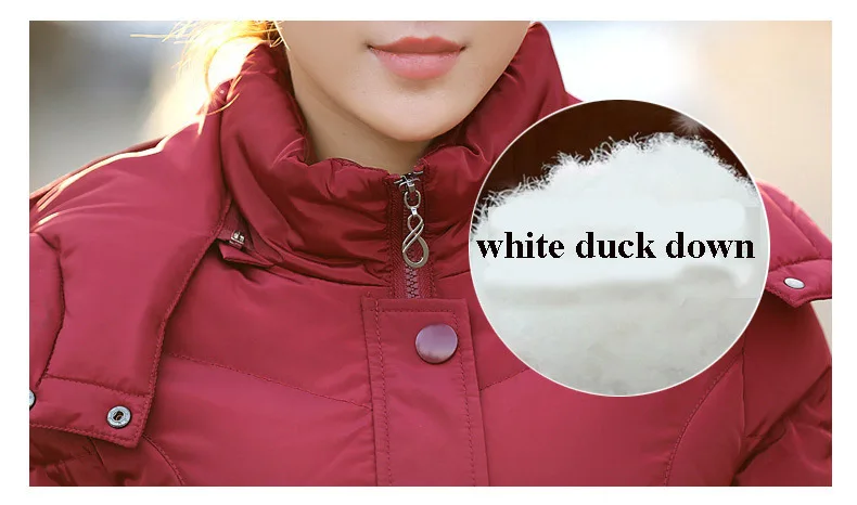 2335386900_383551586