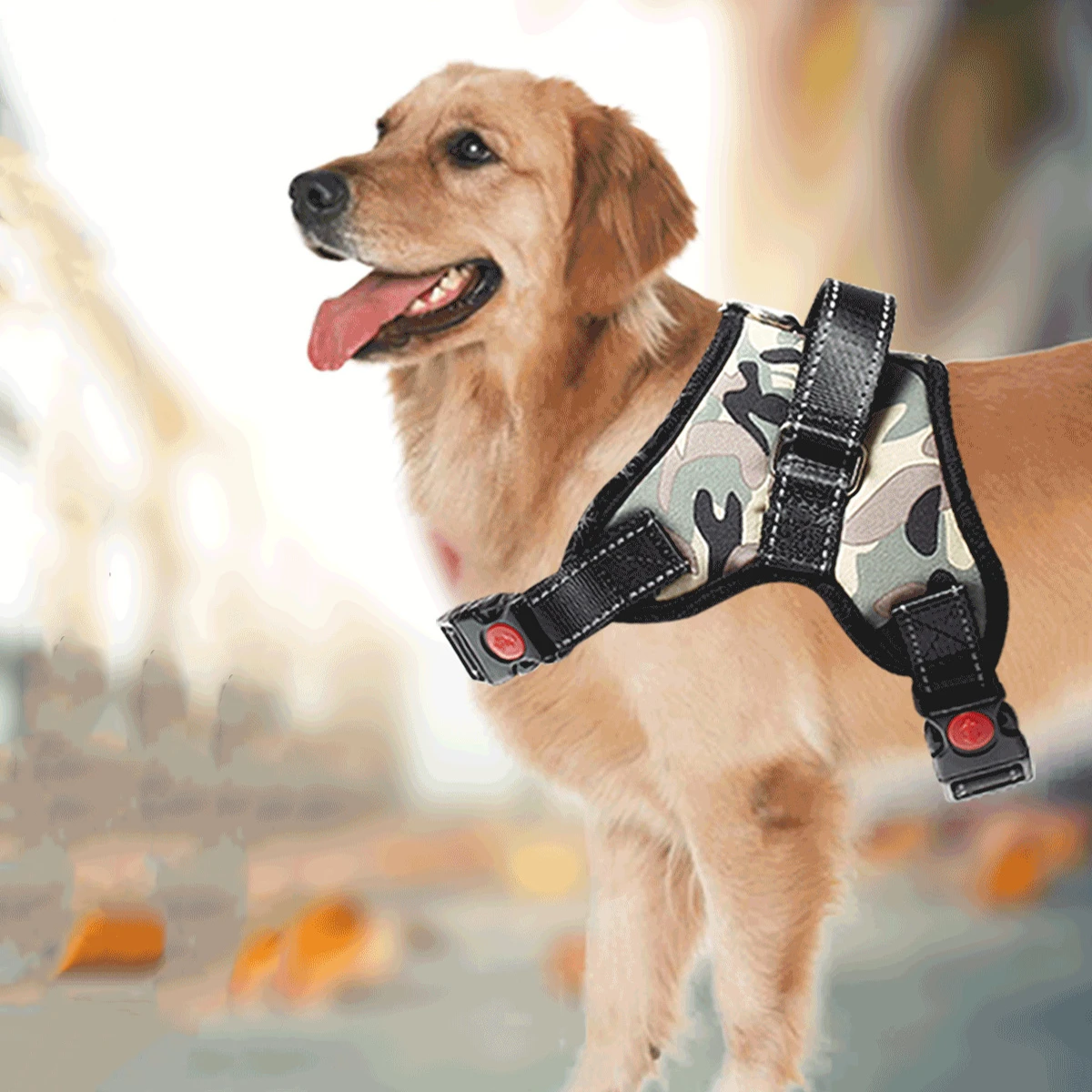 extra large dog harness vest