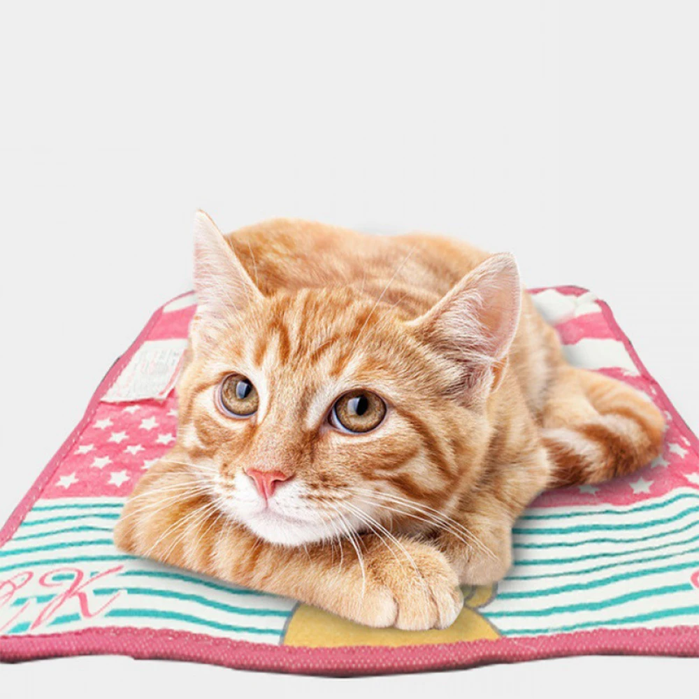 220V Cn Plug Pet Heating Pad Winter Warm Electric Blanket Adjustable Temperature Cushion For Dog Cat Bed Hamster Cage 40*40cm