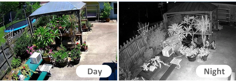3- Day night