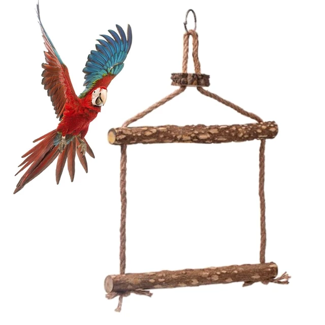 LUOZZY Conjunto de jogos papagaio de pinheiro de galinheiro brinquedo de  balanço, pássaro, tábua de pé (sortida) : : Pet Shop