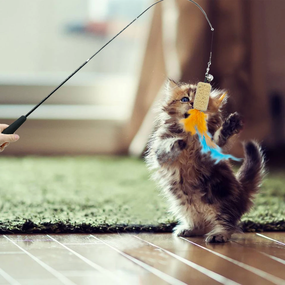 5 шт. кошки игрушки для домашних животных когтеточки для котов игрушки для домашнего животного игрушка забавная игрушечная кошка игрушки из перьев кошачьи лапы игрушка милый игрушечный Кот jouet chat D35